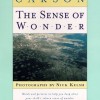 senseofwonder senseofwonder