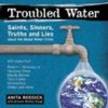 troubled-waters troubled-waters