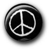 This Week in Peace History