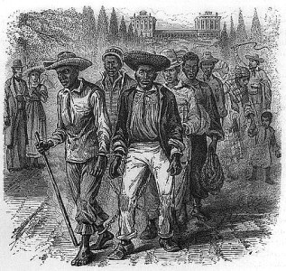 A shackled group of enslaved people passing the Capitol grounds. Image: Library of Congress.